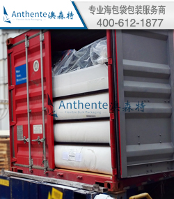 PS塑料--集装箱内衬袋散装运输方案