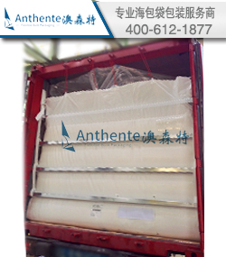 PBT塑料集装箱海包袋运输方案--卸货指导服务