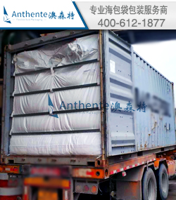 尼龙66 树脂散装运输方案--集装箱海包袋指导服务