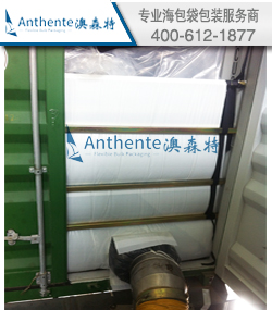 PE树脂散装运输方案--集装箱内衬袋卸货指导服务