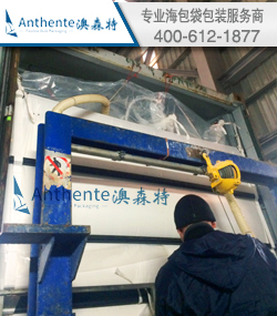 PVC集装箱内衬袋/干粉袋包装方案--卸货指导服务