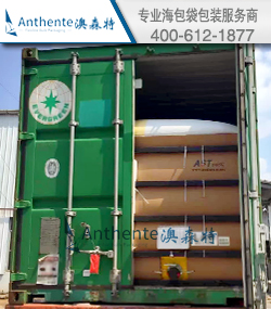 集装箱液袋卸货的现场服务和指导